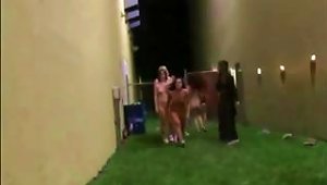 College Girls Lined Up Against Wall Naked At Hazing